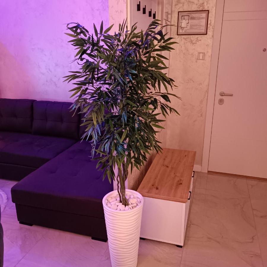 Rb Apartment 3 Lux Smart House Szabadka Kültér fotó